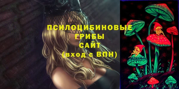 ешки Абинск