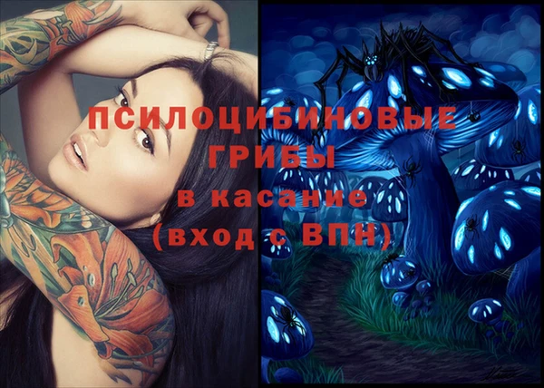 ешки Абинск