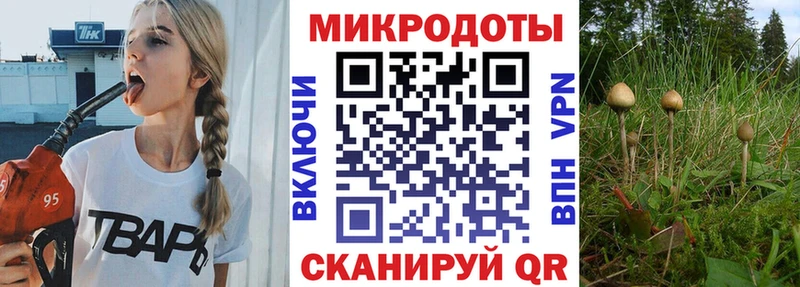 Псилоцибиновые грибы Psilocybe  купить  сайты  Сольцы 