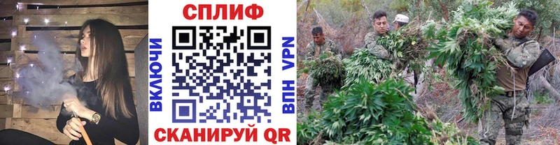 Конопля семена Сольцы